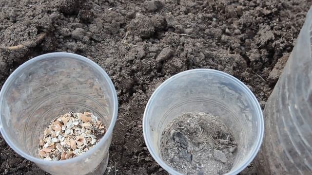 В ОДНОЙ ТЕПЛИЦЕ ТОМАТЫ, ОГУРЦЫ, ПЕРЕЦ, БАКЛАЖАНЫ/ПРАВИЛЬНОЕ РАСПОЛОЖЕНИЕ ПОСАДОК, САЖАЮ РАССАДУ смотреть онлайн