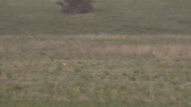 688 Большой Поиск 1 пара смотреть онлайн