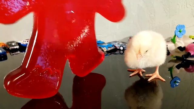 ЦЫПЛЕНОК И ЖЕЛЕЙНЫЙ ПРЯНЯ! Пряня открыл Киндер и нашел в нем живого цыпленка смотреть онлайн