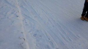 ДЕНЬ СНЕГОКАТЕРА|ДРИФТ НА СНЕГОКАТЕ