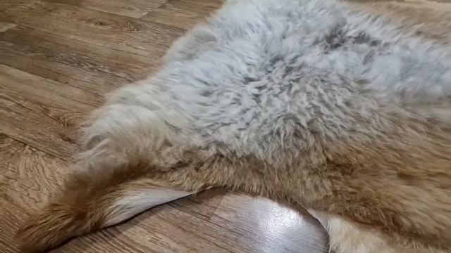 ОВЕЧЬЯ ШКУРА РЫЖЕ-БЕЖЕВАЯ XL (КОД: 4306) смотреть онлайн