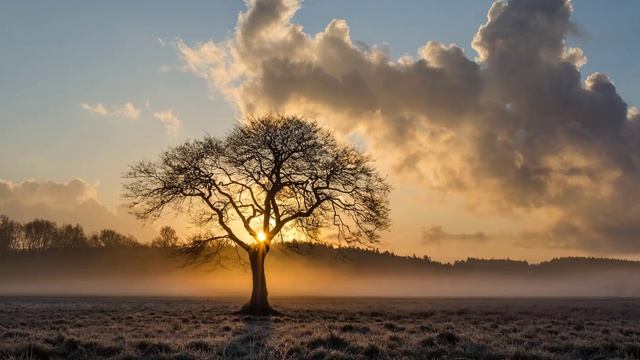 Стихотворение Евгения Евтушенко — На что уходит жизнь смотреть онлайн