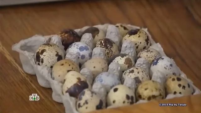 Психологический Коучинг и Развитие личности