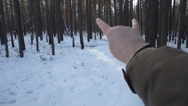 Ориентирование. Измерение углов по пальцам руки смотреть онлайн