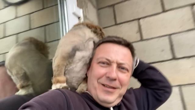 ПАПА о ЧУДЕ и комментариях смотреть онлайн