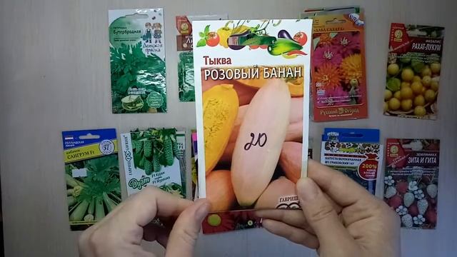 Что посеять на рассаду в апреле? Какие овощи и цветы? смотреть онлайн