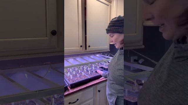 My Seed Starting Set-Up смотреть онлайн