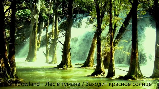 Shadowland - Лес в тумане / Заходит красное солнце смотреть онлайн