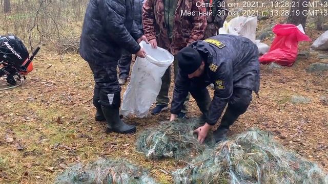 Сотрудники рыбоохраны по СПб и ЛО пресекли незаконную добычу водных биоресурсов в районе п. Леднево смотреть онлайн