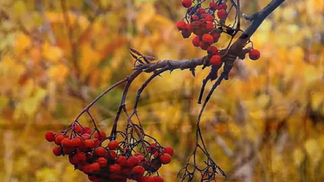 Тула - Земля моя. Посвящается Городу - Герою Туле. 1 ноября 2016 год смотреть онлайн