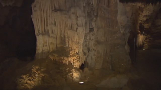 Meet the Locals: Waitomo caves смотреть онлайн