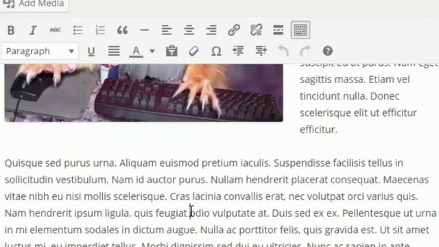 100% Free video course earnings With Master Resell Rights “WordPress Speed”video course смотреть онлайн