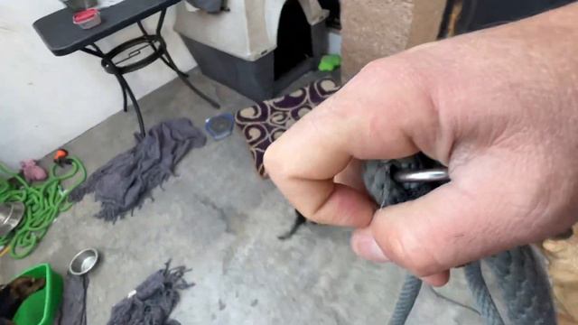 Vítor y Albert si salen pero solo hasta aquí .. смотреть онлайн