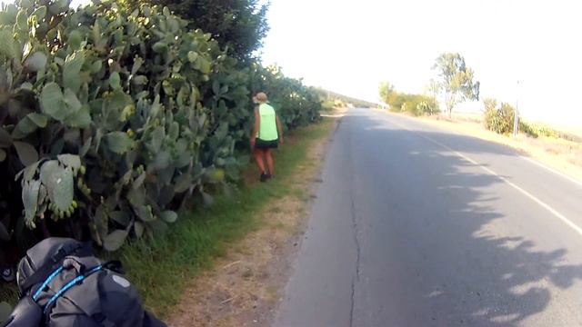 КАКТУСИ 2 смотреть онлайн