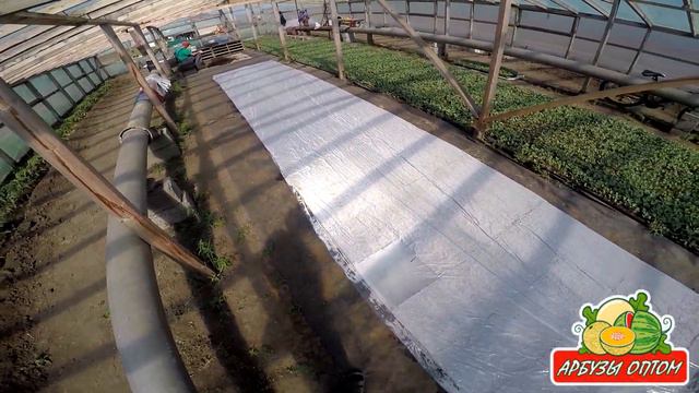 Выбиваем оставшийся грунт из кассет 22 05 2015 смотреть онлайн