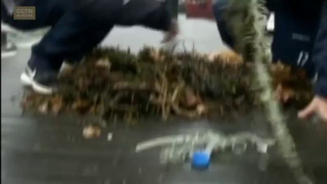 В Британии приступили к очистке океана от мусора ловушками «Seabin» [Age0+] смотреть онлайн