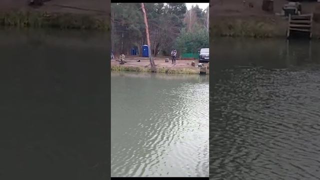 поимка форели смотреть онлайн