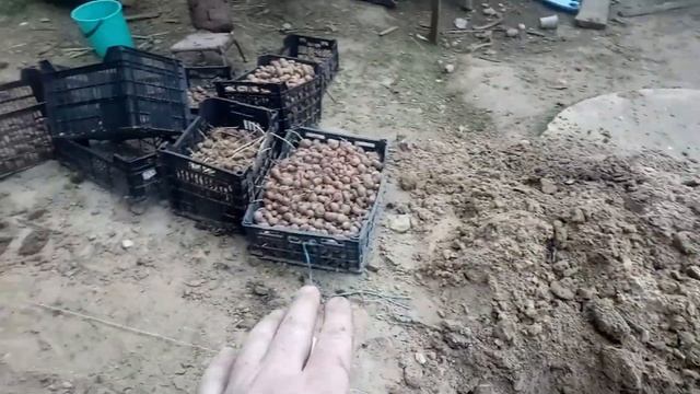 Как я организовал дренаж. Отводим талые воды со двора. смотреть онлайн