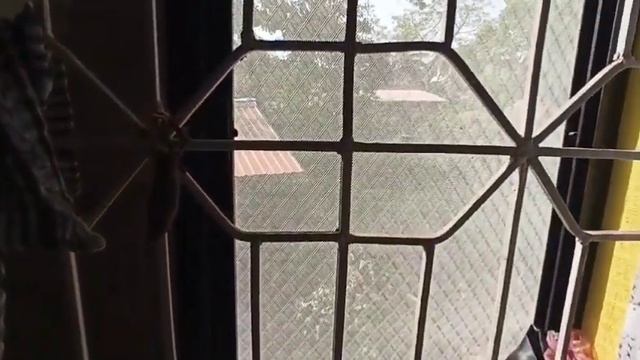 Индия ?? Гоа Морджим | Что сколько стоит | Сколько нужно денег в Гоа | #индия #жизньвгоа #мойопыт смотреть онлайн