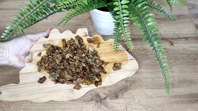 КОТЛЕТЫ ИЗ ФАСОЛИ С ГРИБНЫМ СОУСОМ! БЫСТРО, ПРОСТО И ОЧЕНЬ ВКУСНО!!!#быстрыйужин смотреть онлайн