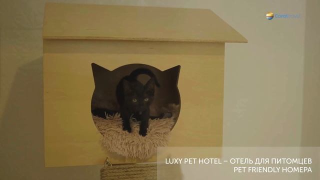 NIRVANA MEDITERRANEAN EXCELLENCE 5*, КЕМЕР, ТУРЦИЯ