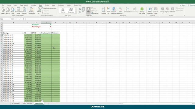 Excel Mokymai – Neatitikimų Patikrinimas
