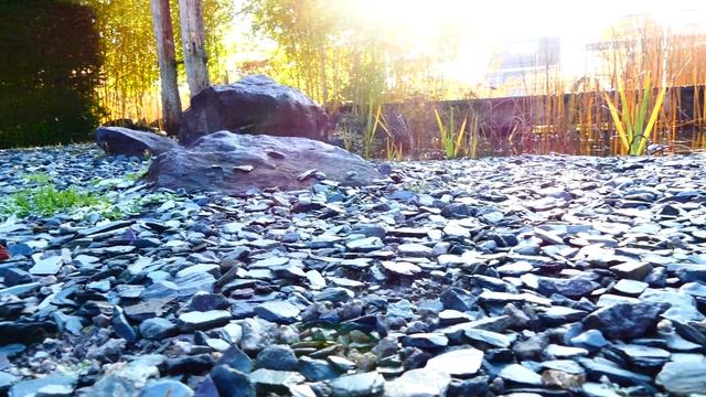 4K mit Panasonic LUMIX DMC-FZ300EGK Videoaufnahme #Мир вокруг нас 3 смотреть онлайн