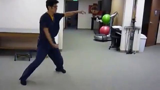7 Pi Gua 4 basic movements found in Liu He Tang Lang Mantis смотреть онлайн