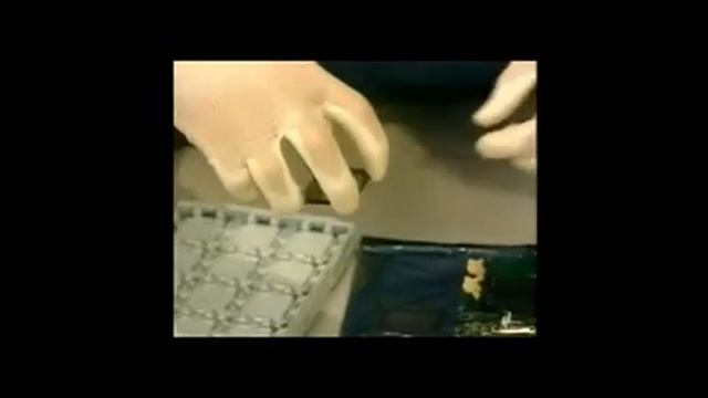 Intel LGA 775 CPU Installation Video KUANYSH PC смотреть онлайн