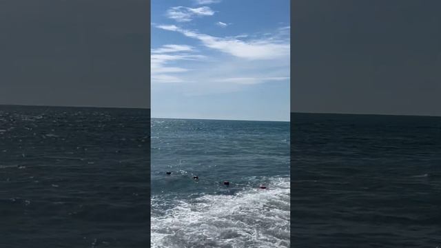 Прасковеевка.Краснодарский край.Море.Скала парус.Побережье Геленджика.Дивноморское,Джанхот смотреть онлайн