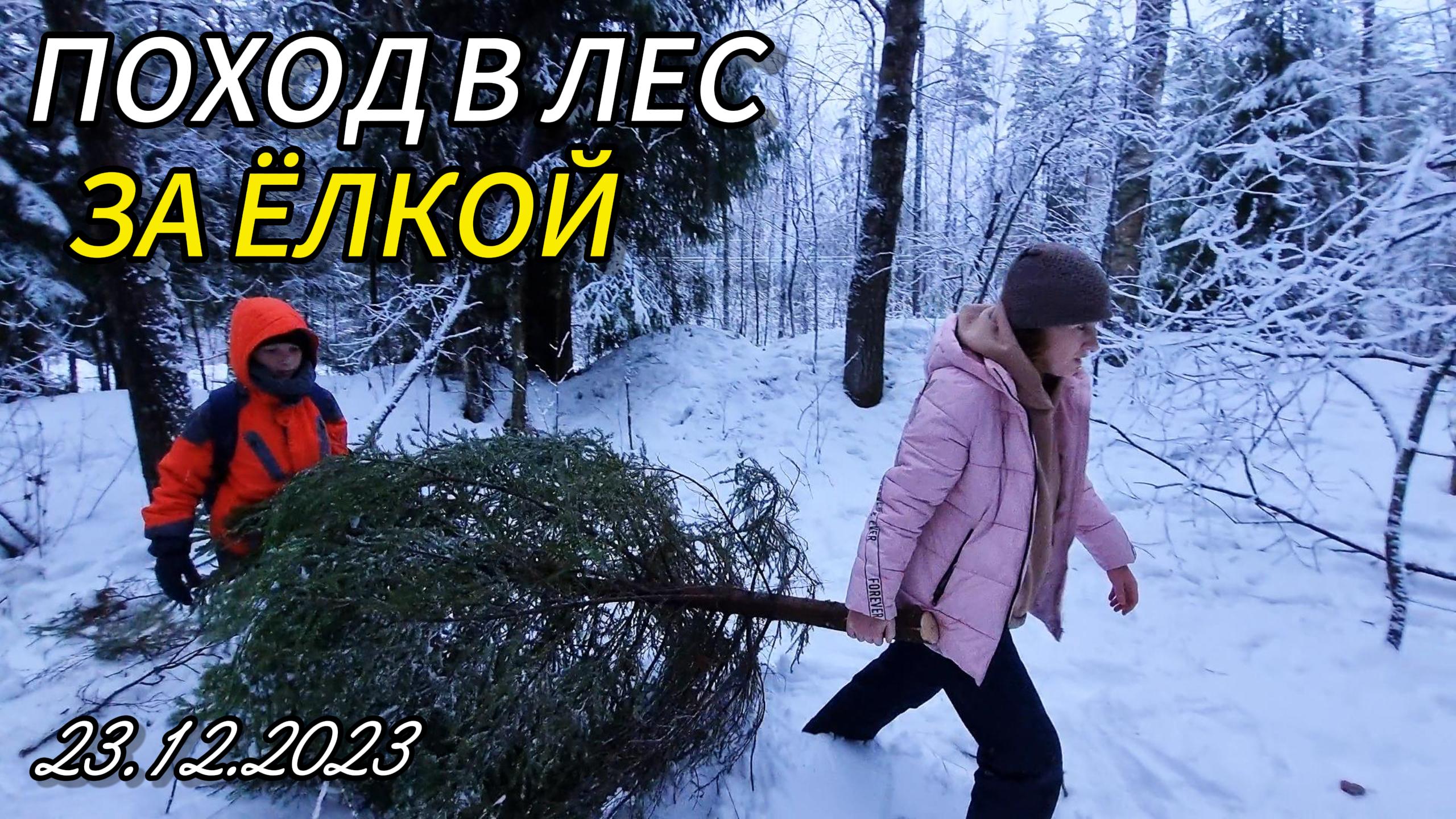 Поход в лес за ёлкой. смотреть онлайн
