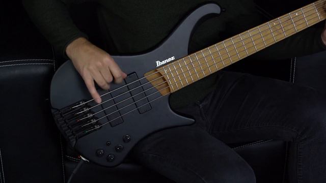 Day 4: Two Headless Basses смотреть онлайн