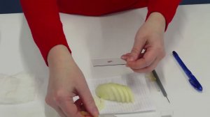 Видео приготовление микропрепарата кожицы лука