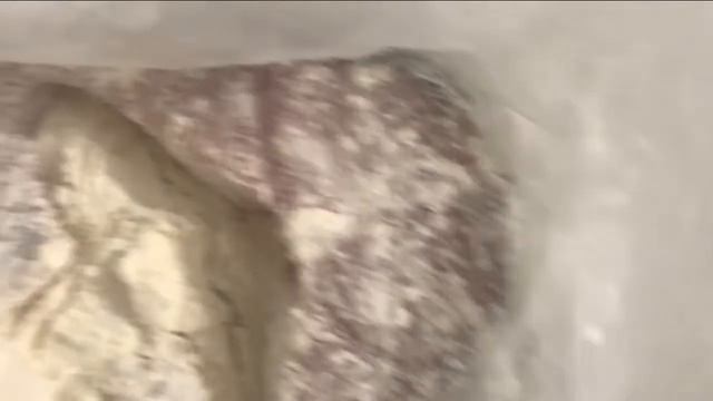 Как вкусно пожарить рыбу. смотреть онлайн