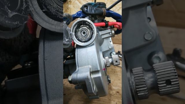 Petal_20240620_225439.mp4