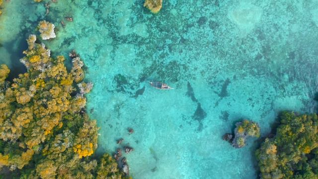 Relaxing Music (Acoustic Guitar) • For Studying, Concentration and Stress relief, Peaceful Music смотреть онлайн