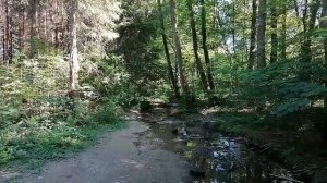 Повесть Виталия Полозова "На заимке" продолжение, часть 9, читает автор.