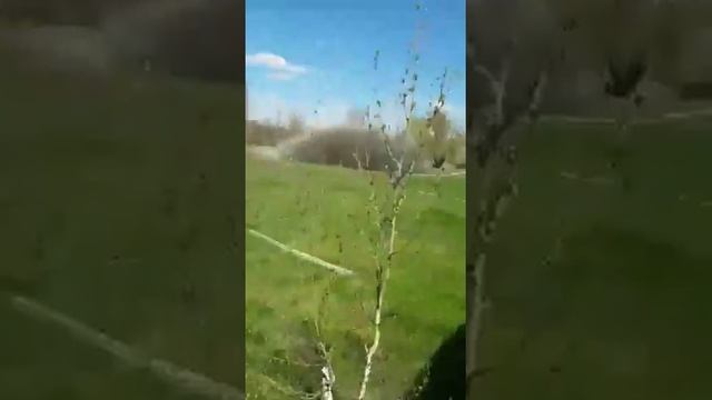 База отдыха на реке Дон! смотреть онлайн