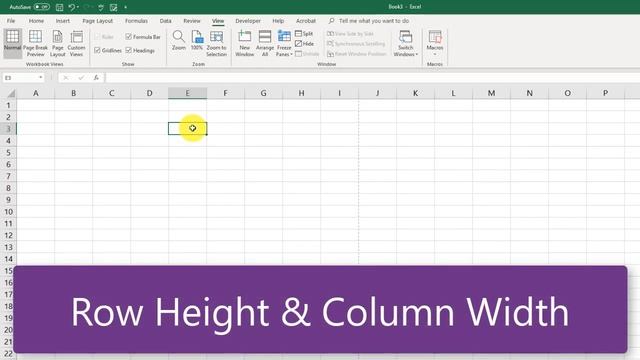 Formatting Worksheets (02.06) - Microsoft Excel: From Beginner to Certified Professional смотреть онлайн
