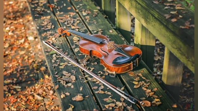 Скрипка-любовь