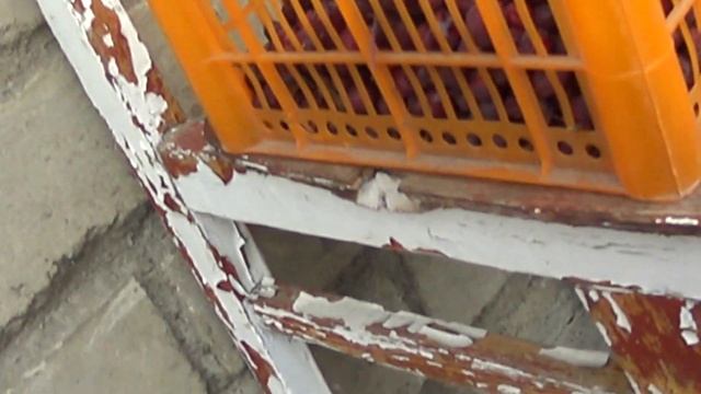 рябина гранатная краткий обзор то что растет в сибири смотреть онлайн