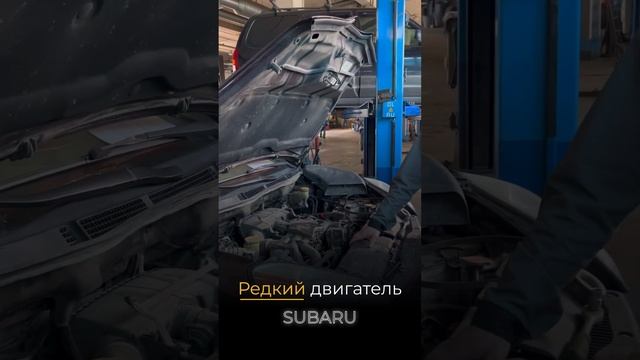 Редкий двигатель #subaru #ремонтавтомобиля #ремонтавто #шиномонтаж #мастерсервис #развалсхождение смотреть онлайн