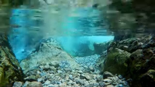 ?АСМР - Дикая природа под водой, Горный ручей (10 часов) Wonderful Relaxation study with me. ASMR. смотреть онлайн
