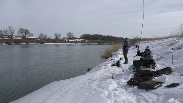 Поехали на рыбалку на реку Дон посмотреть обстановку по рыбе
