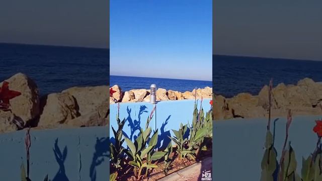 Отель в турции Gold Island, бунгало июль 2019