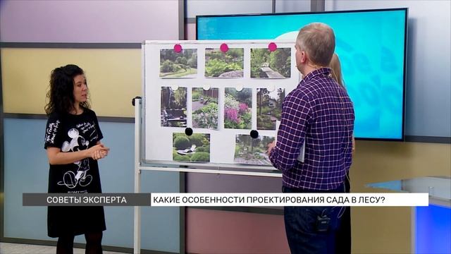 Какие особенности проектирования сада в лесу? смотреть онлайн