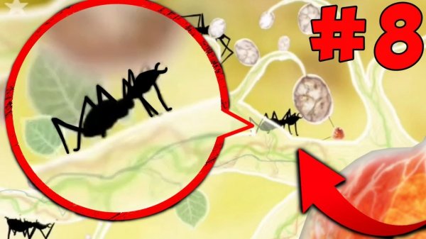 БОТАНИКУЛА Botanicula Прохождение ? спешит на помощь #08 серия на канале Max Junior