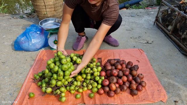 Harvest Figs Bring them to the market to sell - Buy Pig's feet go to the cellar to eat - Bushcraft смотреть онлайн