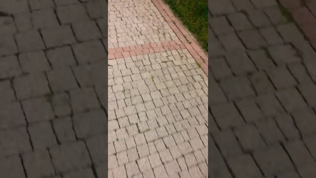 На обиженных воду возят ?? смотреть онлайн