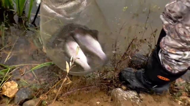 Рыбацкая Деревня в Юрлово 29.10.2017 года смотреть онлайн